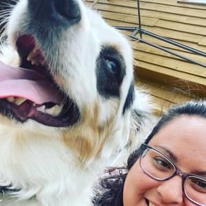 Meet your Posher, Ambar